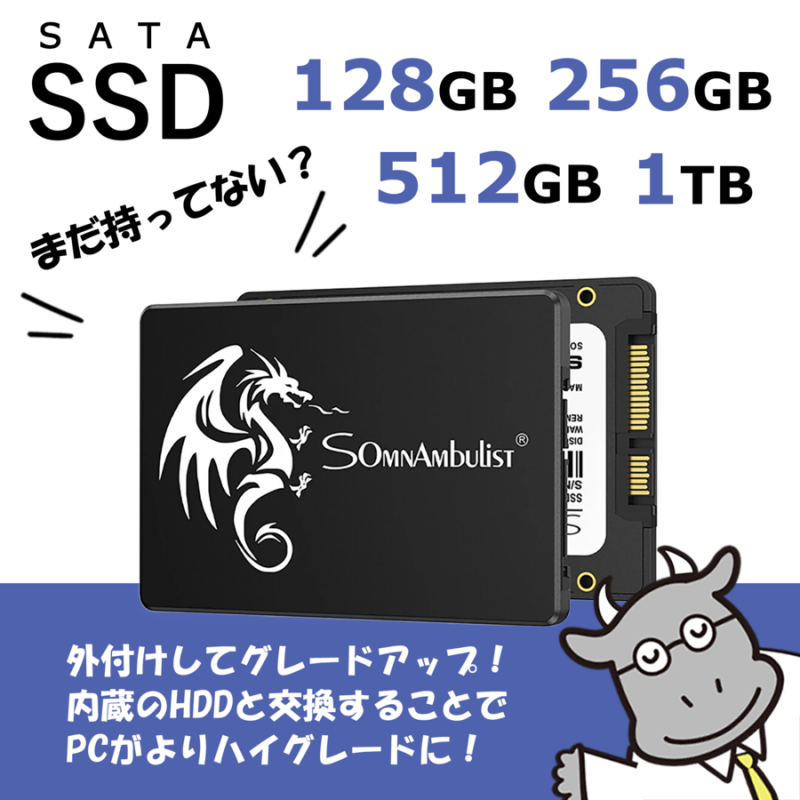 【SSD】Somnambulist｜内蔵SSD 外付けSSD｜GJS07 SATAIII 2.5 SSD｜1TB ｜ノートブックPC用 デスクトップpc用 | 送料無料★特価販売中★